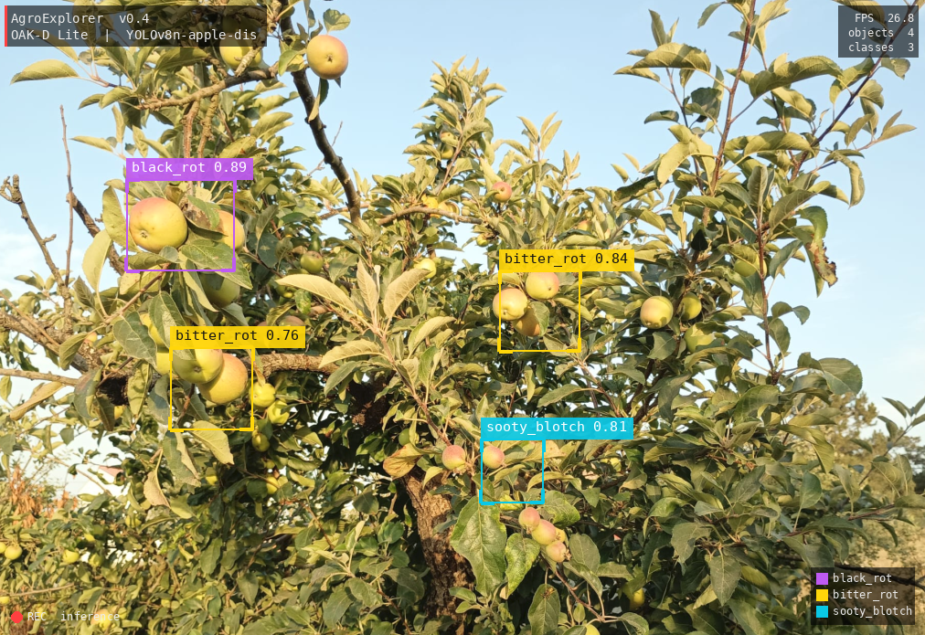 AEOS YOLO detection — apple fruit identified and classified on apple tree during flight