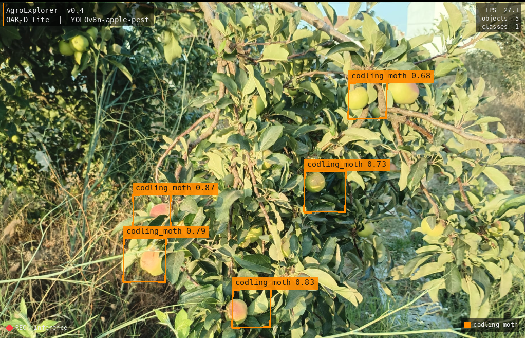 AEOS YOLO detection — pest and fruit anomaly detection on apple orchard during survey flight